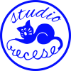 Studio Recese